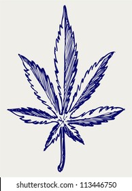 Cannabis Leaf. Doodle Style