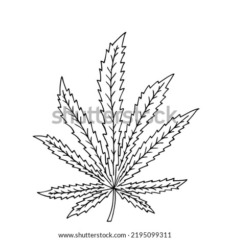 Cannabis leaf in doodle style. Hand Drawn. Freehand drawing. Sketch.	
