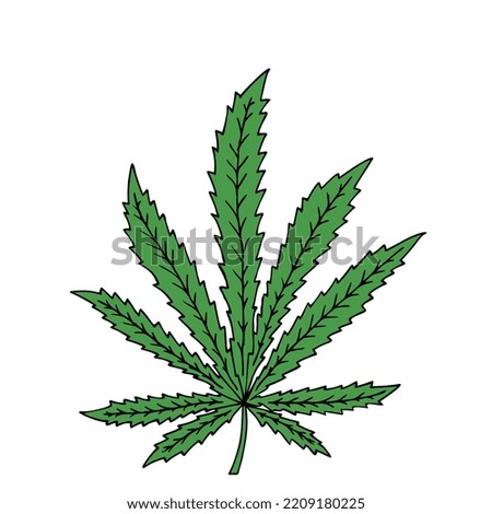 Cannabis leaf in doodle style. Hand Drawn. Freehand drawing. Sketch. Hand Drawn. Freehand drawing. Sketch.