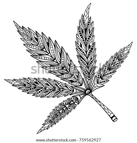 Download Cannabis Leaf Doodle Zentangle Style Hand Stock Vector (Royalty Free) 759562927 - Shutterstock