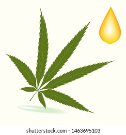 Cannabis leaf and drop Hemp oil - isolated on white background - vector. Health concept. Medical cannabis concept Medicinal plants