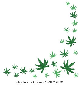 Cannabis leaf frame isolated on white background. Vector graphics.