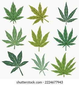 Cannabis leaf freehand drawing flat design.vector illustration.