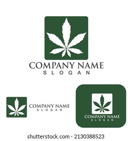 Cannabis leaf health nature logo vector