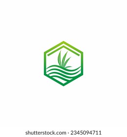 Cannabis leaf icon design logo vector image