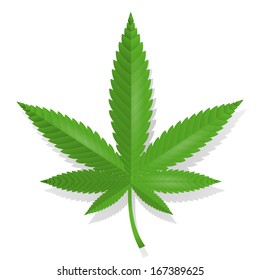 Cannabis Leaf Icon Isolated Vector Illustration