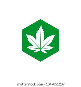 Cannabis leaf icon logo template