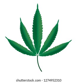 Cannabis leaf icon. Vector.