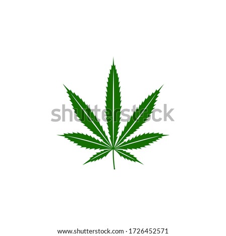cannabis leaf illustration design. vector
