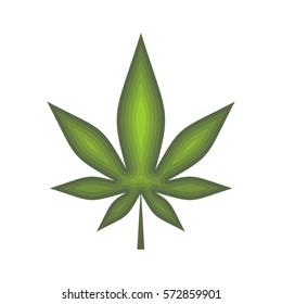 Cannabis leaf isolated. hemp on white background. Marijuana grass