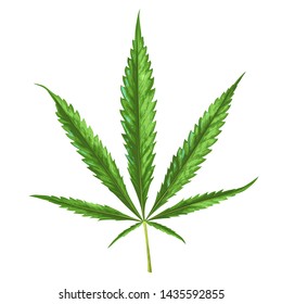 Cannabis leaf isolated on white. Vector illustration