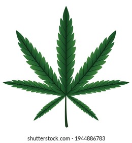 Hoja de cannabis aislada en el vector gráfico de fondo blanco