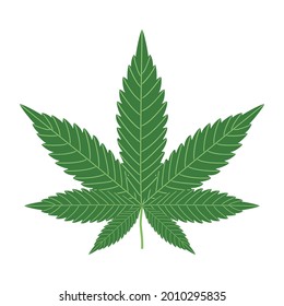 Cannabisblatt einzeln auf weißem Hintergrund