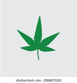 hoja de cannabis aislada en fondo blanco, ilustración vectorial