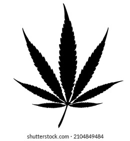 Hojas de cannabis aisladas de fondo blanco. Icono vector hoja de marihuana. Símbolo de cannabis.