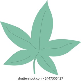 Cannabis leaf isolated in white background. Hemp green leaf template