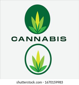 Cannabis leaf logo design. leaf icon vector. eps10