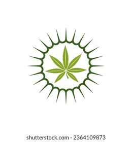 Cannabis leaf logo design template vector. Logotype for CBD oil marijuana label