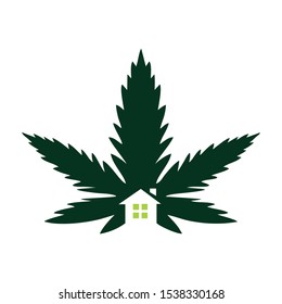 cannabis leaf logo design vector