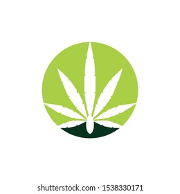 cannabis leaf logo design vector