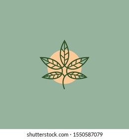 cannabis leaf logo design vector template