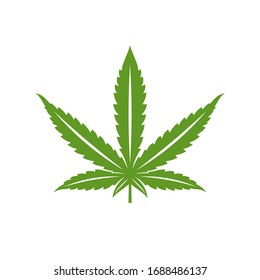 Plantilla vectorial de diseño del logotipo de hoja de cannabis. Canabis creativo con fondo blanco