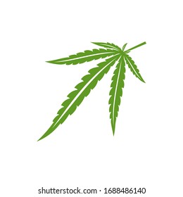 Cannabis leaf logo design vector template. Creative Cannabis on white background