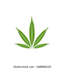 Plantilla vectorial de diseño del logotipo de hoja de cannabis. Canabis creativo con fondo blanco