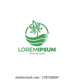 cannabis leaf logo design vector template