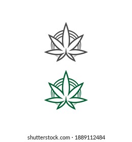 Cannabis leaf logo design vector template illustration