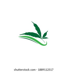 Cannabis leaf logo design vector template illustration