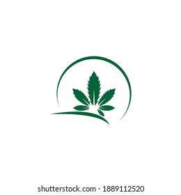 Cannabis leaf logo design vector template illustration