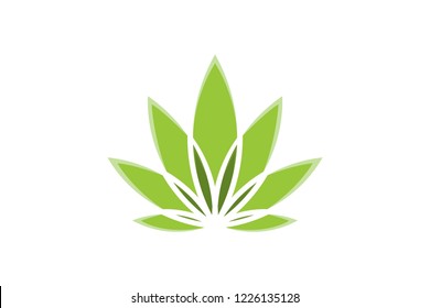 cannabis leaf logo Designs Inspiration Isolated on White Background