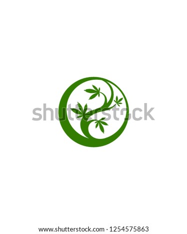 cannabis leaf  logo natural vector illustration