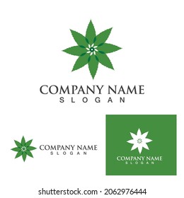 Cannabis leaf logo and symbol vector