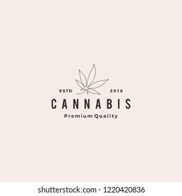 cannabis leaf logo vector icon