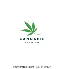 cannabis leaf logo vector icon