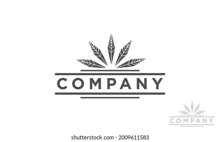 cannabis leaf logo vector icon