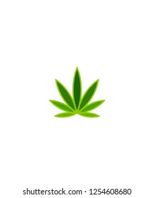 Cannabis leaf logo vector illustration