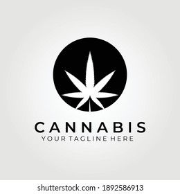 cannabis leaf logo vector illustration design , vintage logo concept