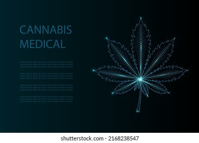 Cannabis leaf in low poly wireframe style with dots and lights. The concept of medical use of marijuana, alternative treatment. Abstract modern vector illustration on dark blue background.