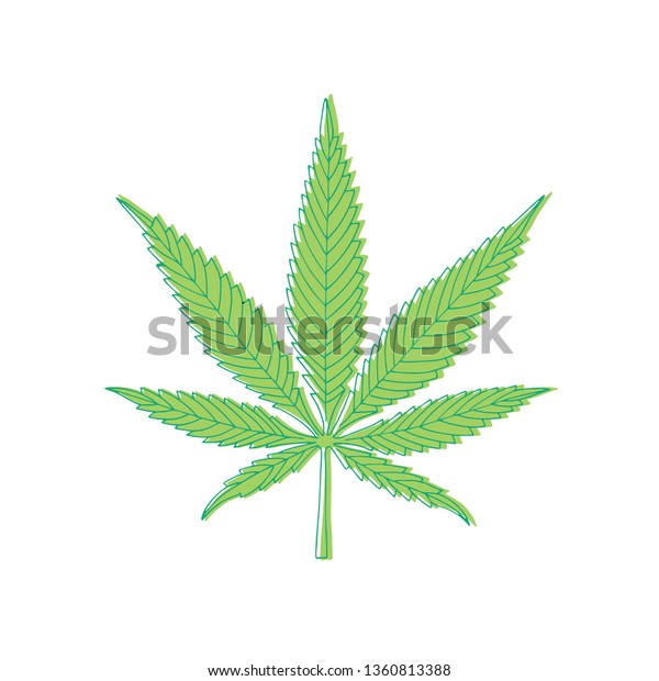 Cannabis Leaf Marijuana Leaf Hand Drawn Stock Vector (Royalty Free ...