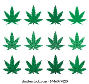 Cannabis leaf marijuana vector colorful illustration ganja 