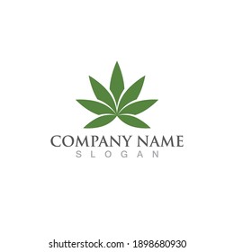 cannabis leaf nature logo vector 