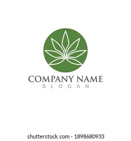 Cannabis Leaf Nature Logo Vector 