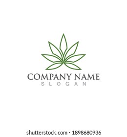 cannabis leaf nature logo vector 