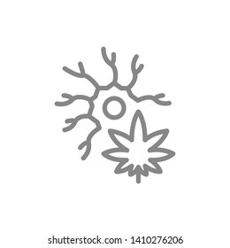 Cannabis leaf with neuron line icon. Medical marijuana with nervous system symbol and sign vector illustration design. Isolated on white background