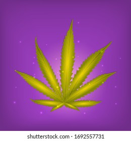 Hoja de cannabis o fondo morado.