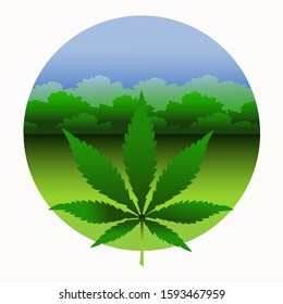 Cannabis leaf on a background of blue sky. Green cannabis on marijuana field farm. Legalization of marijuana. Medical marijuana. Vector

