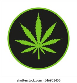 Cannabis leaf on a black background